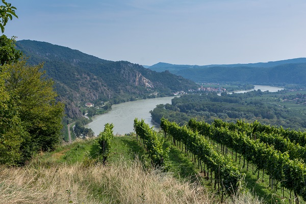 Siedlerausflug Foto