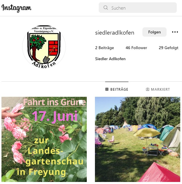 IMG Instagram